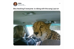 Порция музыкального юмора :)