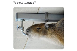 Порция музыкального юмора :)