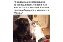 Порция музыкального юмора :)